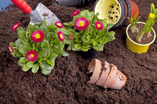 Front view of a gardener arranging plants in a Sydenham garden