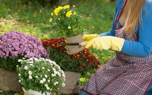 Gardener preparing equipment and materials for a decking project