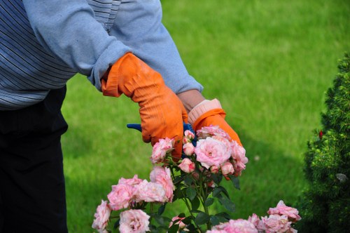 Eco-friendly lawn mowing services in Sydenham